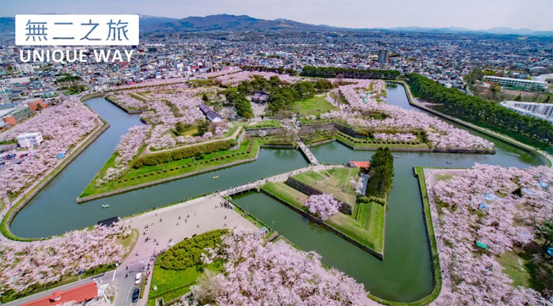 日本的樱花什么时候开？2019日本樱花开放时间预告                                                                                               日本