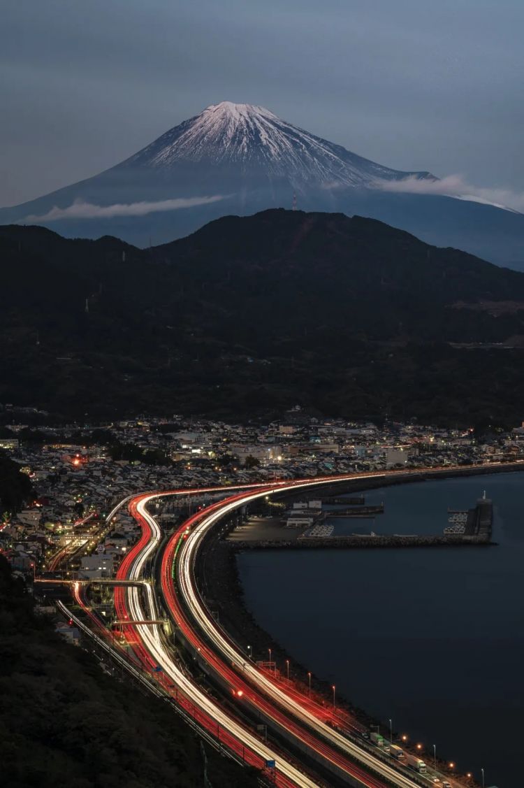 第204期：大熊猫比力仙女平安归国；日本里山麻雀或成濒危物种？京阿尼纵火案将二审 | 百通板