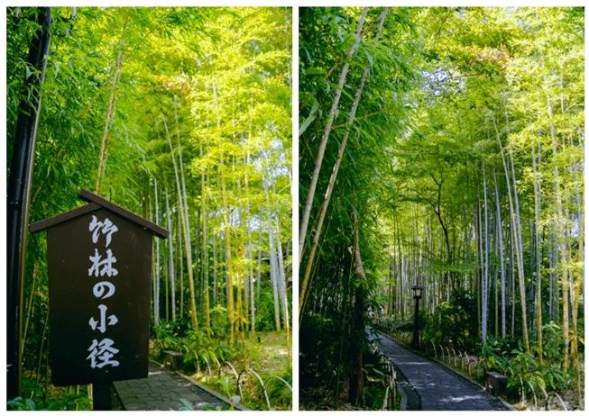 日本小城里的夏天，怎么样都玩不腻