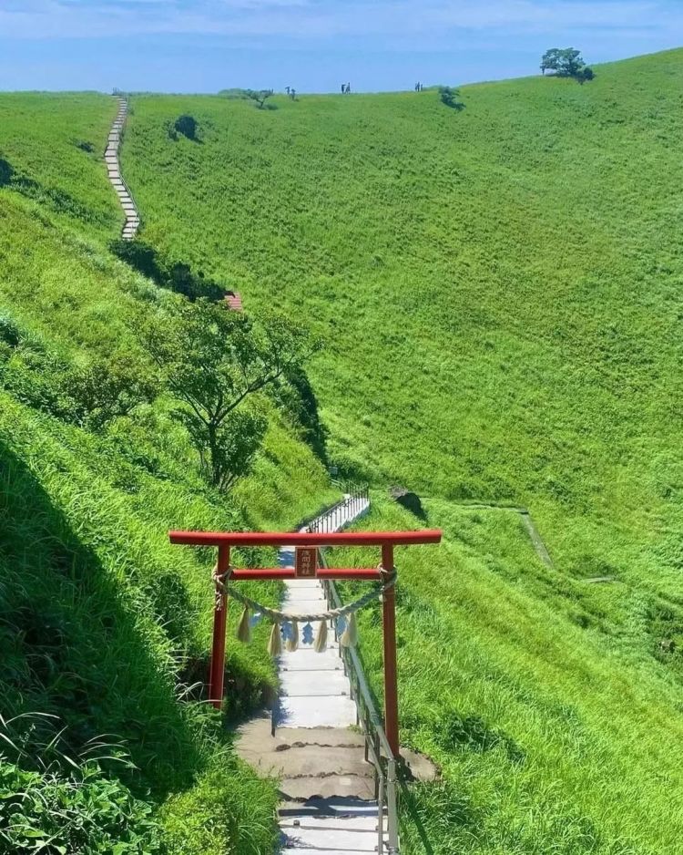 日本小城里的夏天，怎么样都玩不腻