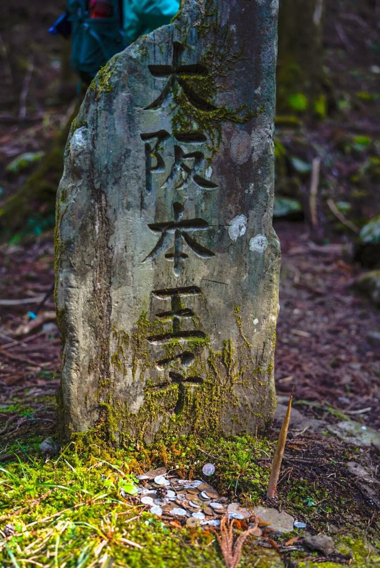 第一次去日本，真的很上头！