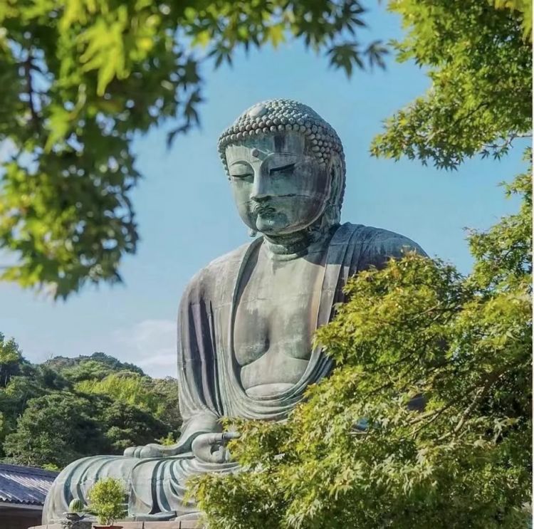 日本小城里的夏天，怎么样都玩不腻