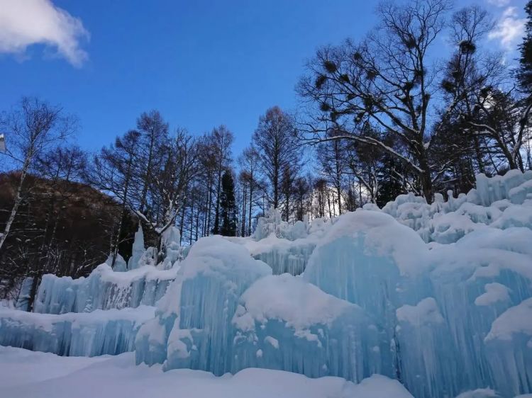 盘点九大特色冰雪节，沉浸式探索日本冬季奇迹