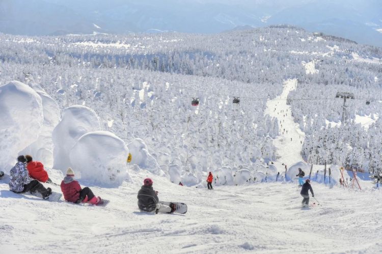 盘点九大特色冰雪节，沉浸式探索日本冬季奇迹