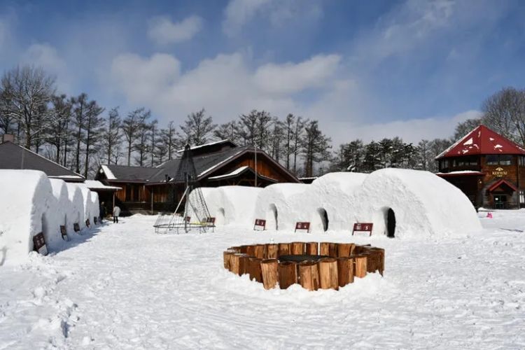 盘点九大特色冰雪节，沉浸式探索日本冬季奇迹