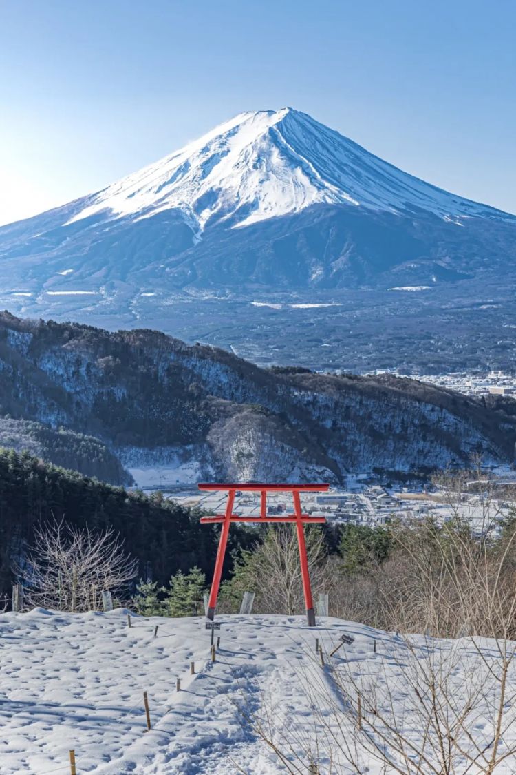 第217期：日本新年结婚潮；佳子公主30岁喜事将近？传奇乐队助阵红白；现象级恐怖游戏电影化 | 百通板