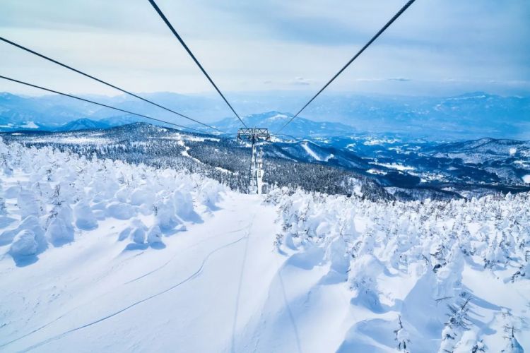 盘点九大特色冰雪节，沉浸式探索日本冬季奇迹