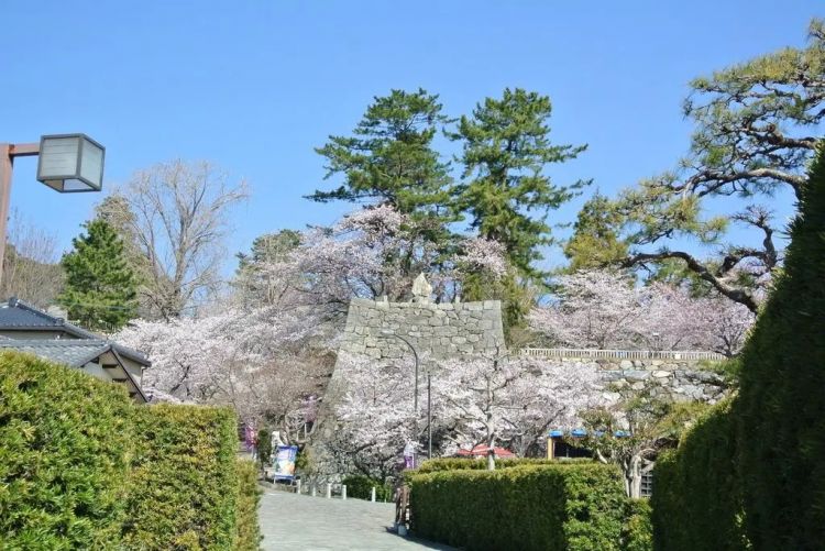 大阪出发2小时，来一场日本三大和牛“松阪牛”故乡的小旅行