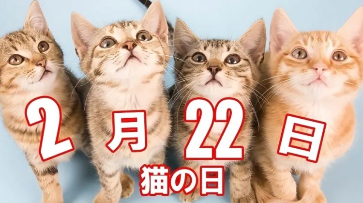 猫之日，萌宠变妖怪？猫为何化身妖异之物