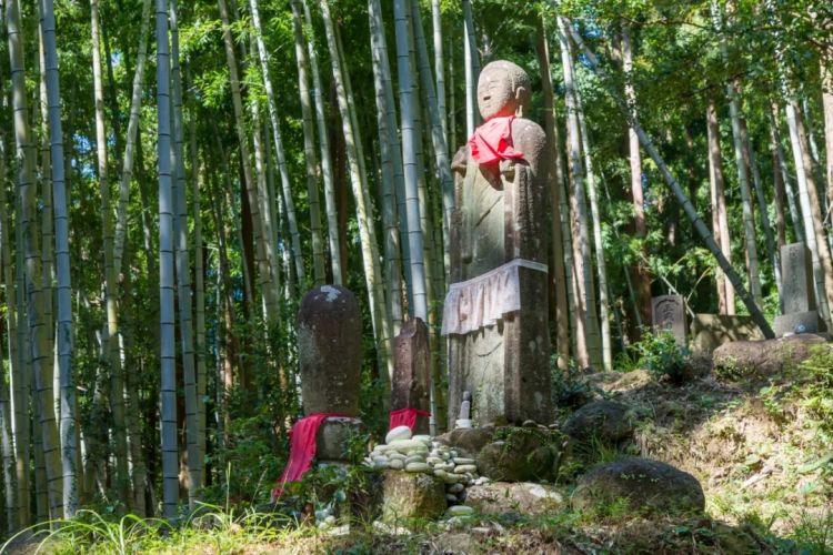 三重县文化探险：忍者与圣地巡礼的铁道之旅